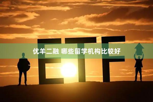 優(yōu)羊二融 哪些留學(xué)機(jī)構(gòu)比較好